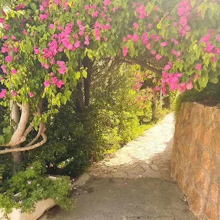 Palm Paradise - Private Access To The Appartement *
